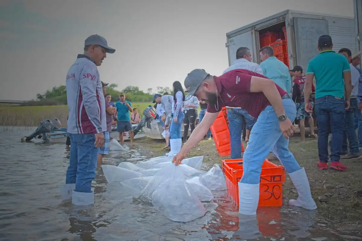 Pescadores de El Fuerte firman dictamen del Programa de Repoblamiento de Alevines para presas locales