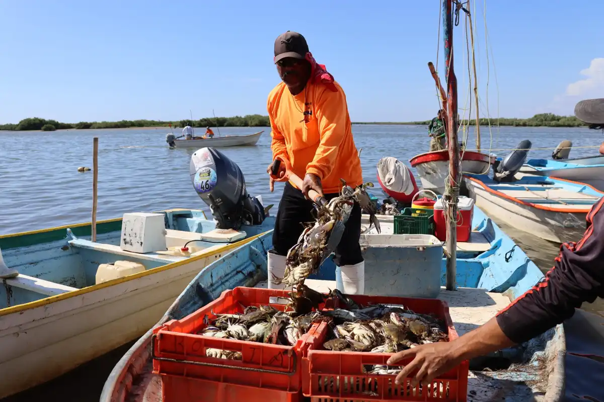 Censo Bienpesca en Mazatlán busca optimizar apoyos a pescadores y acuicultores