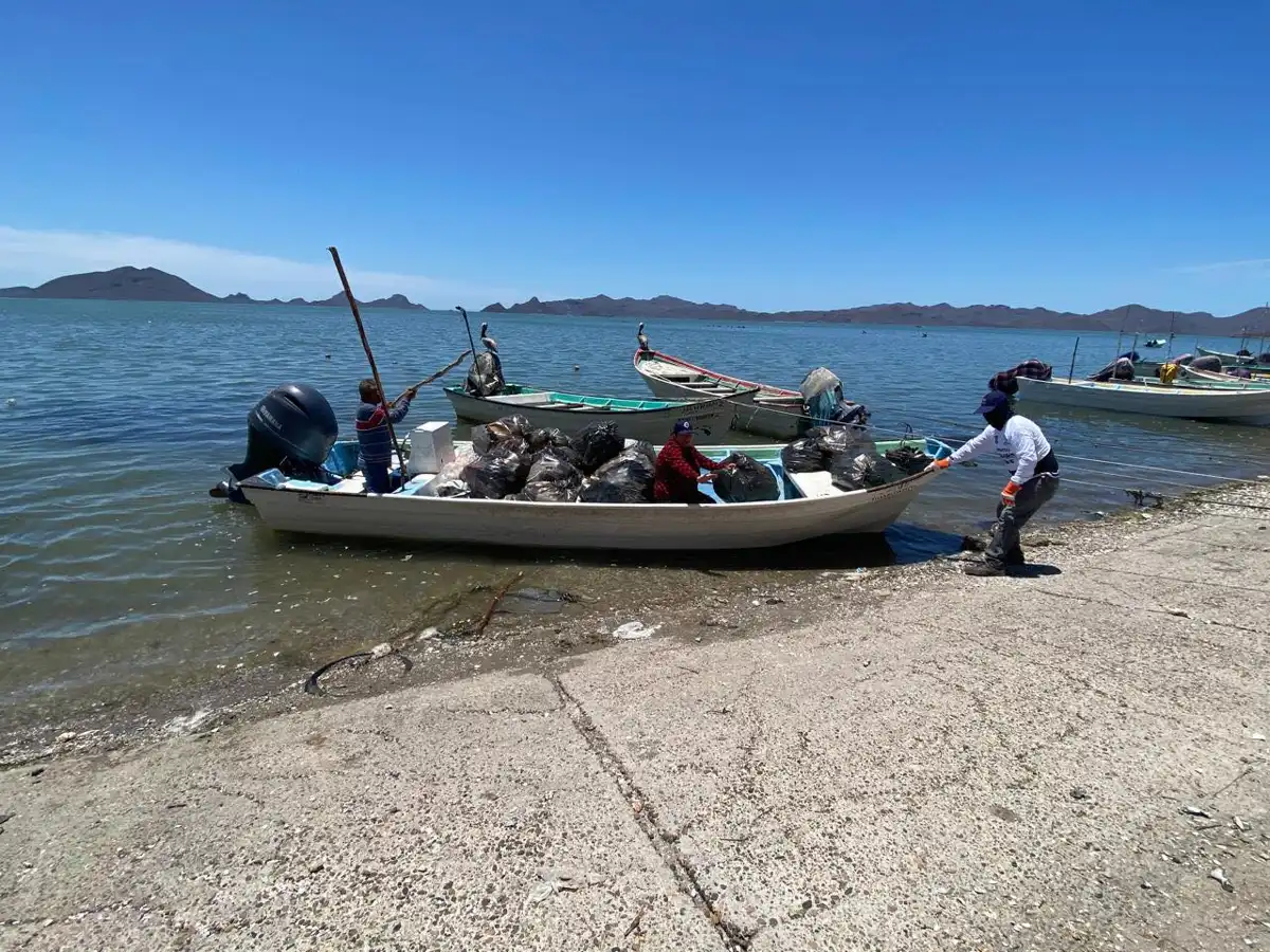Realizan jornada de limpieza en islas de Juan José Ríos para proteger ecosistemas marinos