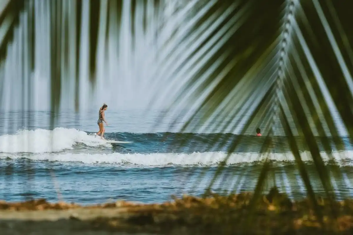 Mexilog Fest 2025 convertirá a Mazatlán en la capital mundial del surf