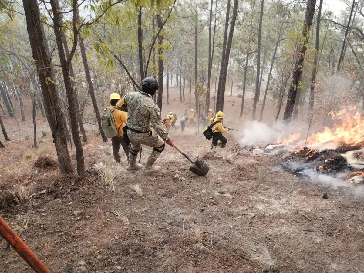 Controlan incendio forestal en El Palmito; SEBIDES entrega apoyos a familias afectadas