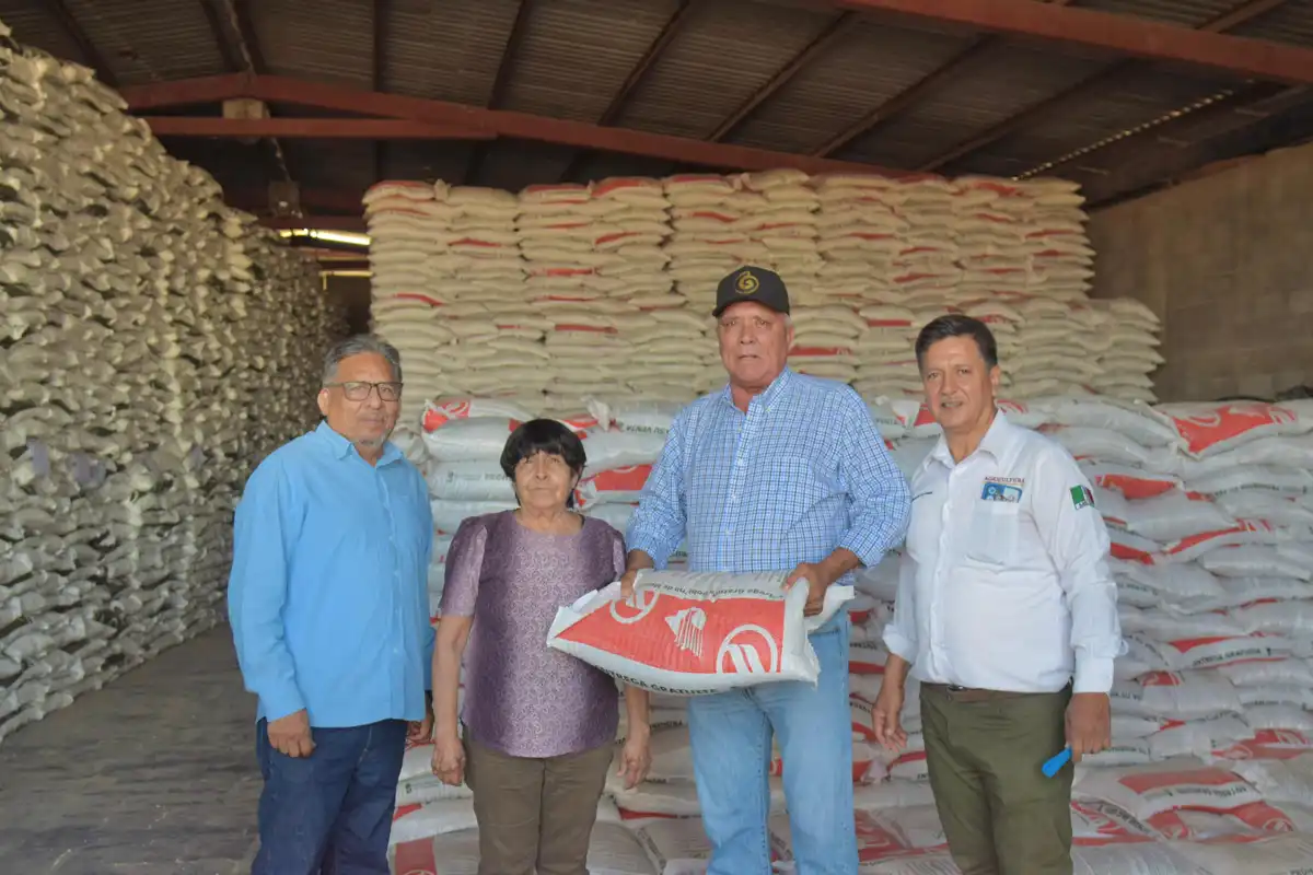 Inicia entrega de fertilizantes gratuitos en El Fuerte para fortalecer al campo sinaloense
