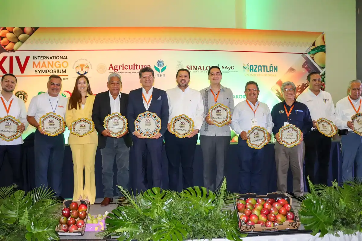 México brilla en producción de mango: Sinaloa es líder nacional y sede de simposio internacional