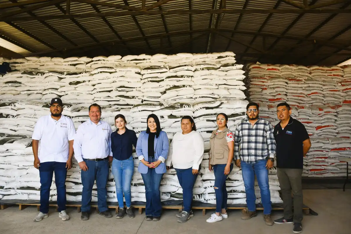 Entregan fertilizantes del programa “Fertilizantes para el Bienestar” en Choix