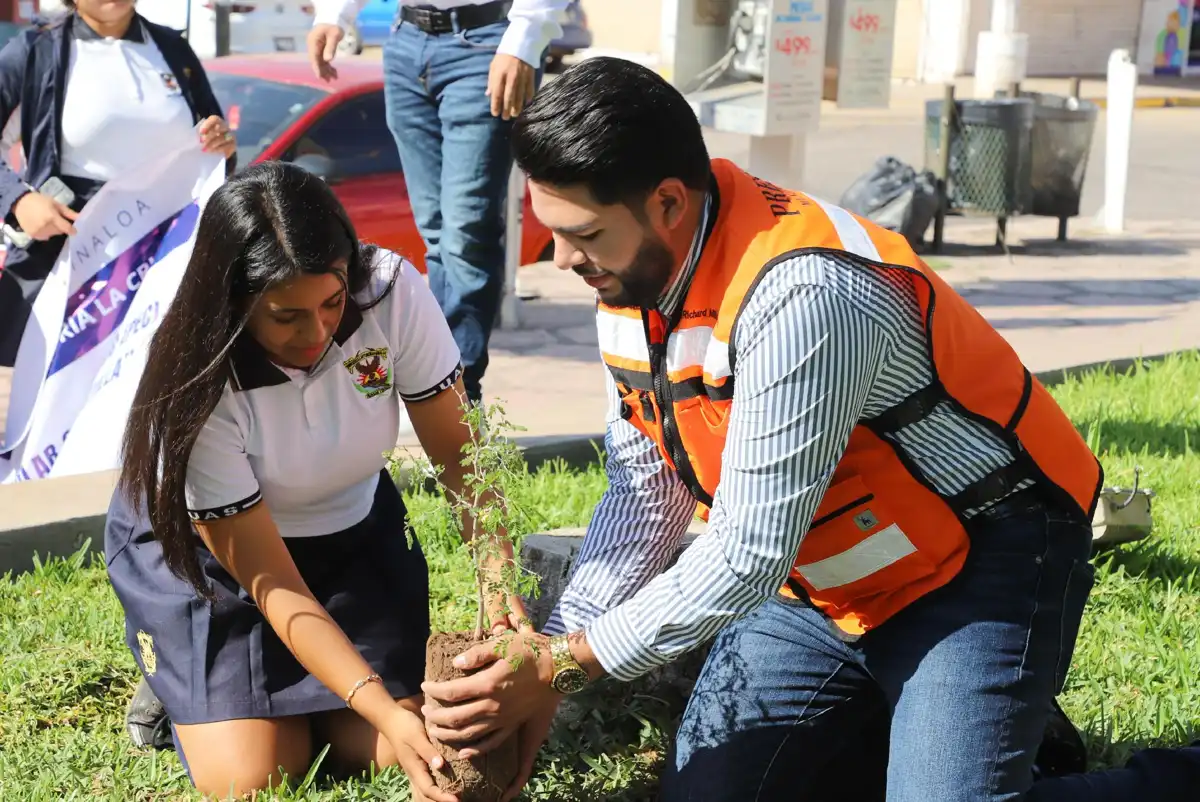 Inician campaña para preservar la frutilla, árbol endémico de Elota, en el Día Mundial del Medio Ambiente