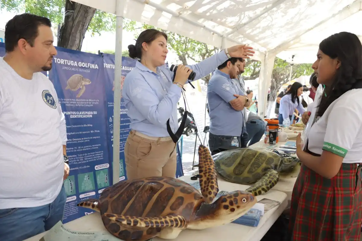 Celebran la Primera Feria Ambiental 2025 en Rosario para concientizar sobre el uso de plásticos
