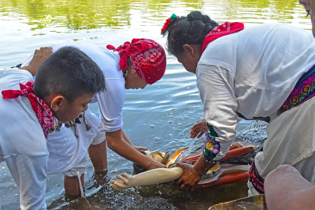 Celebran en El Fuerte el Día de San Juan con rituales ancestrales en el Río Fuerte