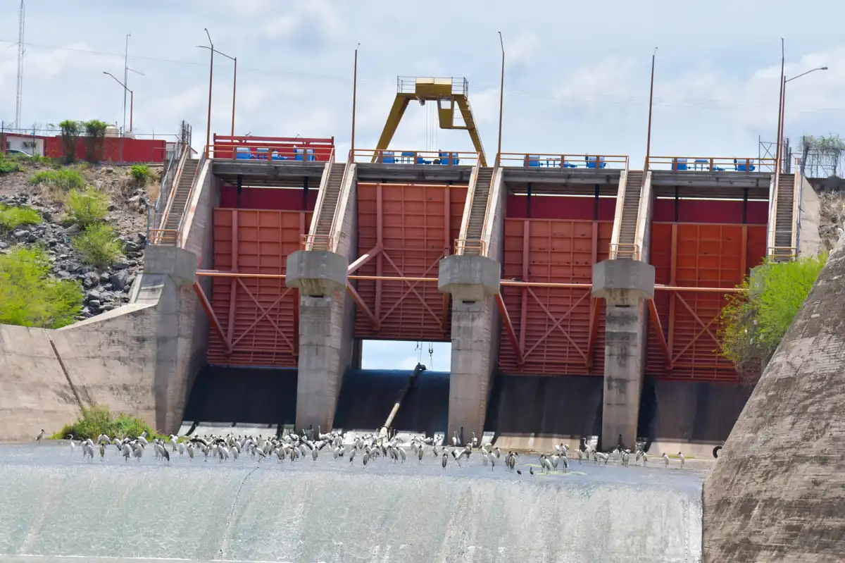 Lluvias favorecen captación en la presa Eustaquio Buelna y garantizan abasto de agua en Guamúchil