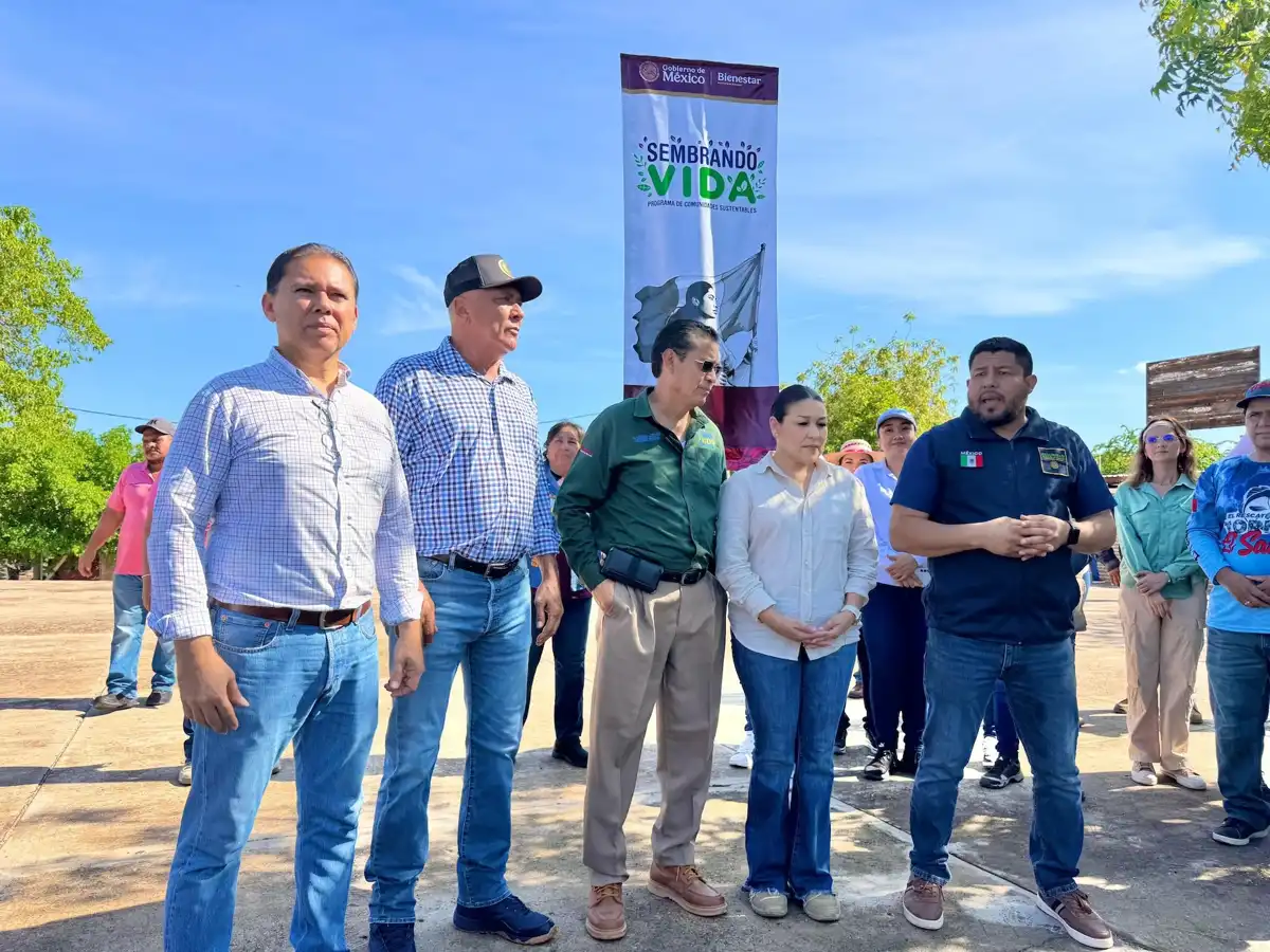 El Fuerte y Choix reforestan juntos para promover la paz y el desarrollo sostenible