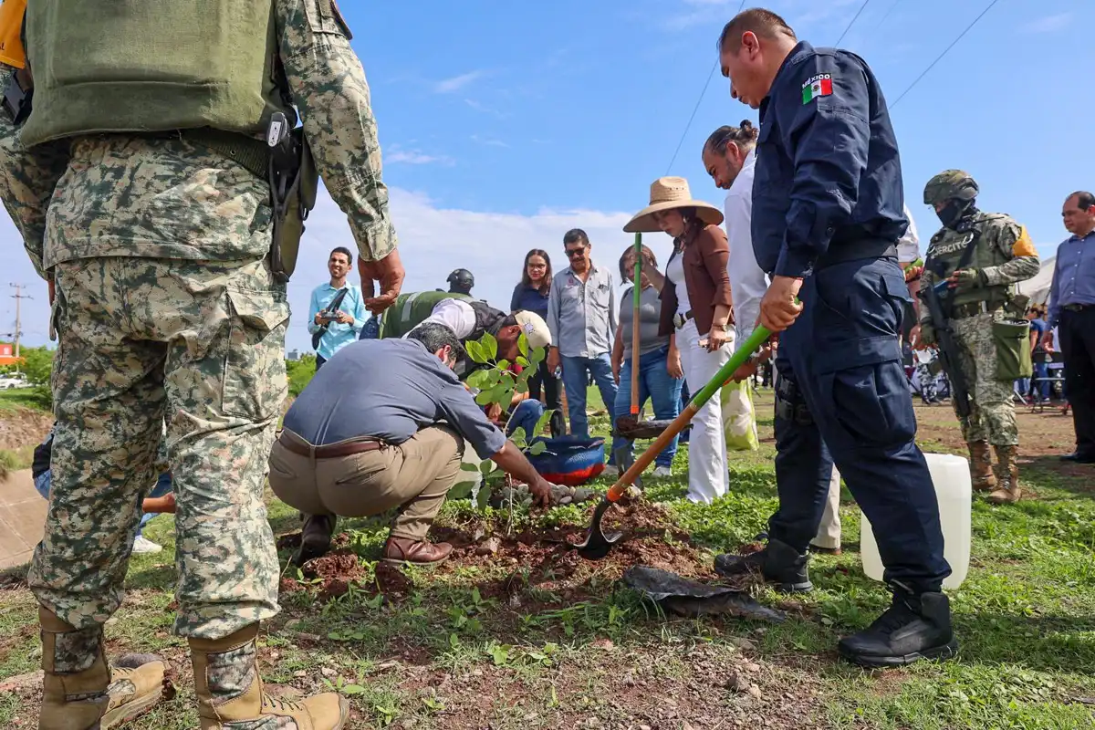 Jornada Estatal de Arborización 2025 transforma Sinaloa con miles de árboles y limpieza ambiental