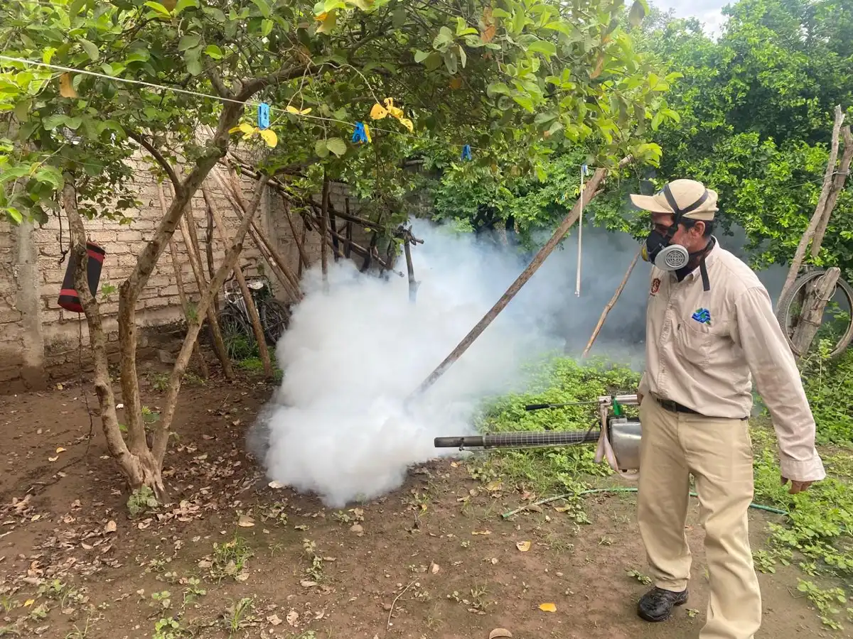 Intensifican jornadas de descacharrización y fumigación para prevenir dengue, zika y chikungunya en Rosario