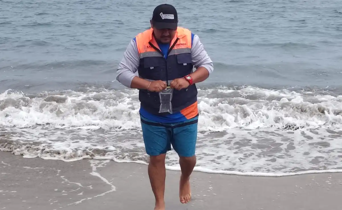 Playas de Sinaloa están limpias y seguras para uso recreativo este verano: Cofepris