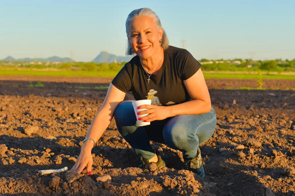 Guamúchil tendrá un campo de cempasúchil como nuevo atractivo turístico