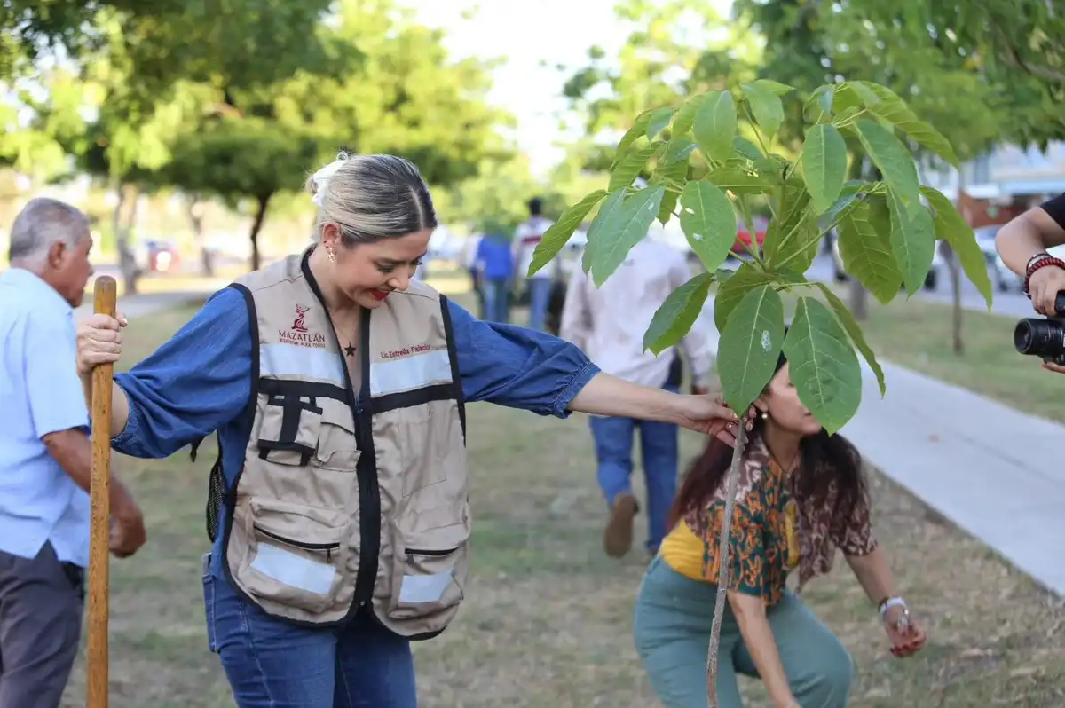 Arranca en Mazatlán campaña de reforestación con 5,500 árboles