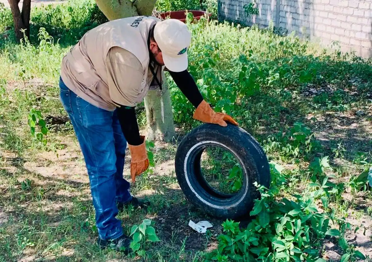 Refuerzan campañas de descacharrización para combatir el dengue