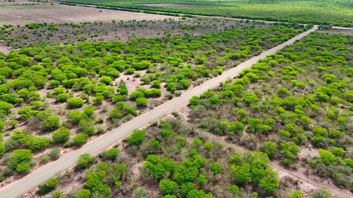 Rehabilitan camino rural hacia La Bajada del Monte en El Fuerte