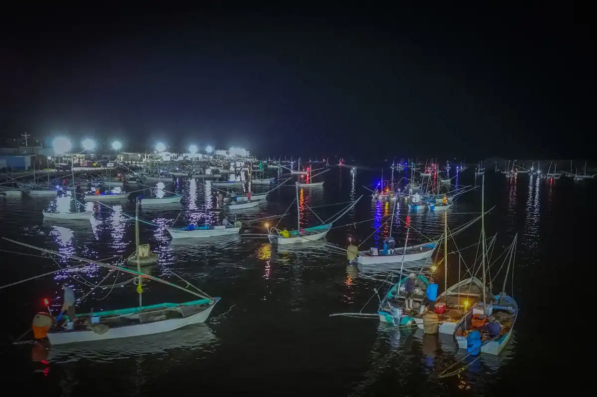 Inicia temporada de captura de camarón en Sinaloa 2025-2026 con más de 10 mil pescadores