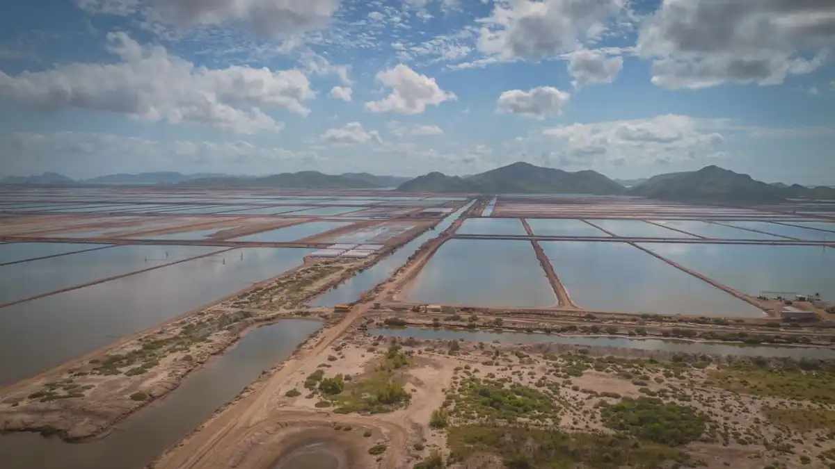 Sinaloa refuerza su liderazgo en sanidad acuícola y pesquera con nuevos puntos de verificación