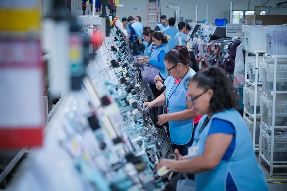 Sinaloa reduce el desempleo a 2.6% y supera el promedio nacional, según la ENOE 2025