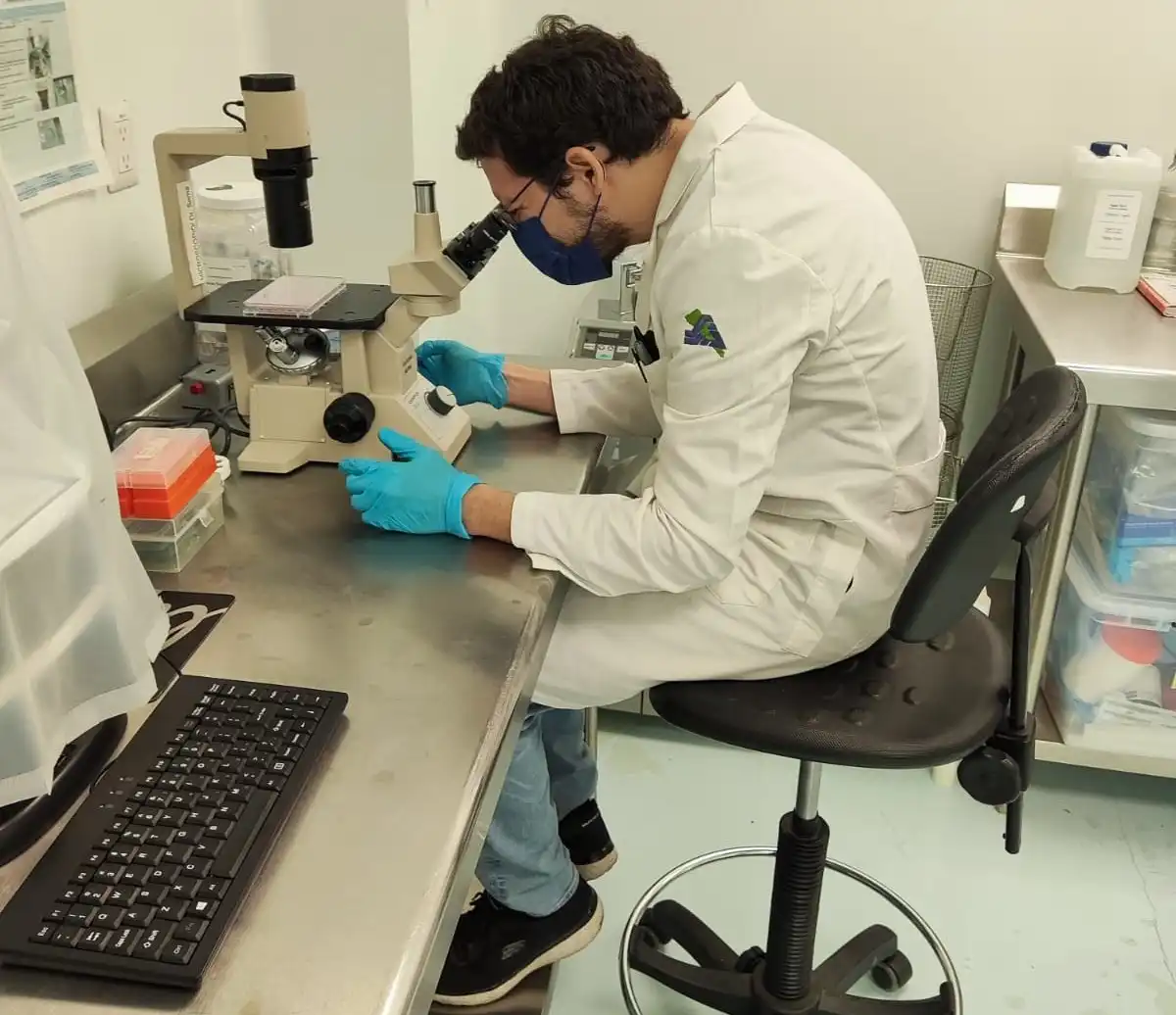 Orégano mexicano: científico sinaloense descubre potente compuesto antiinflamatorio