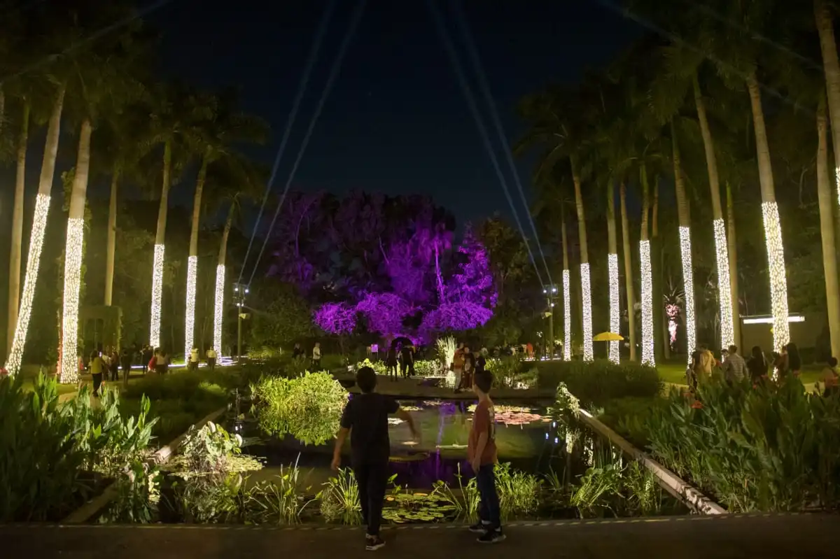 Navidad en el Botánico reúne a más de 10 mil visitantes en su quinta edición en Culiacán