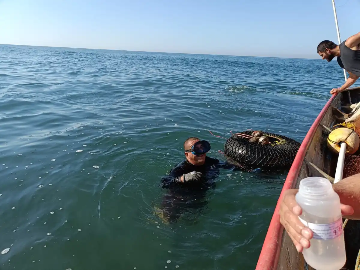 COEPRISS realiza muestreo sanitario de ostiones para garantizar consumo seguro en Sinaloa