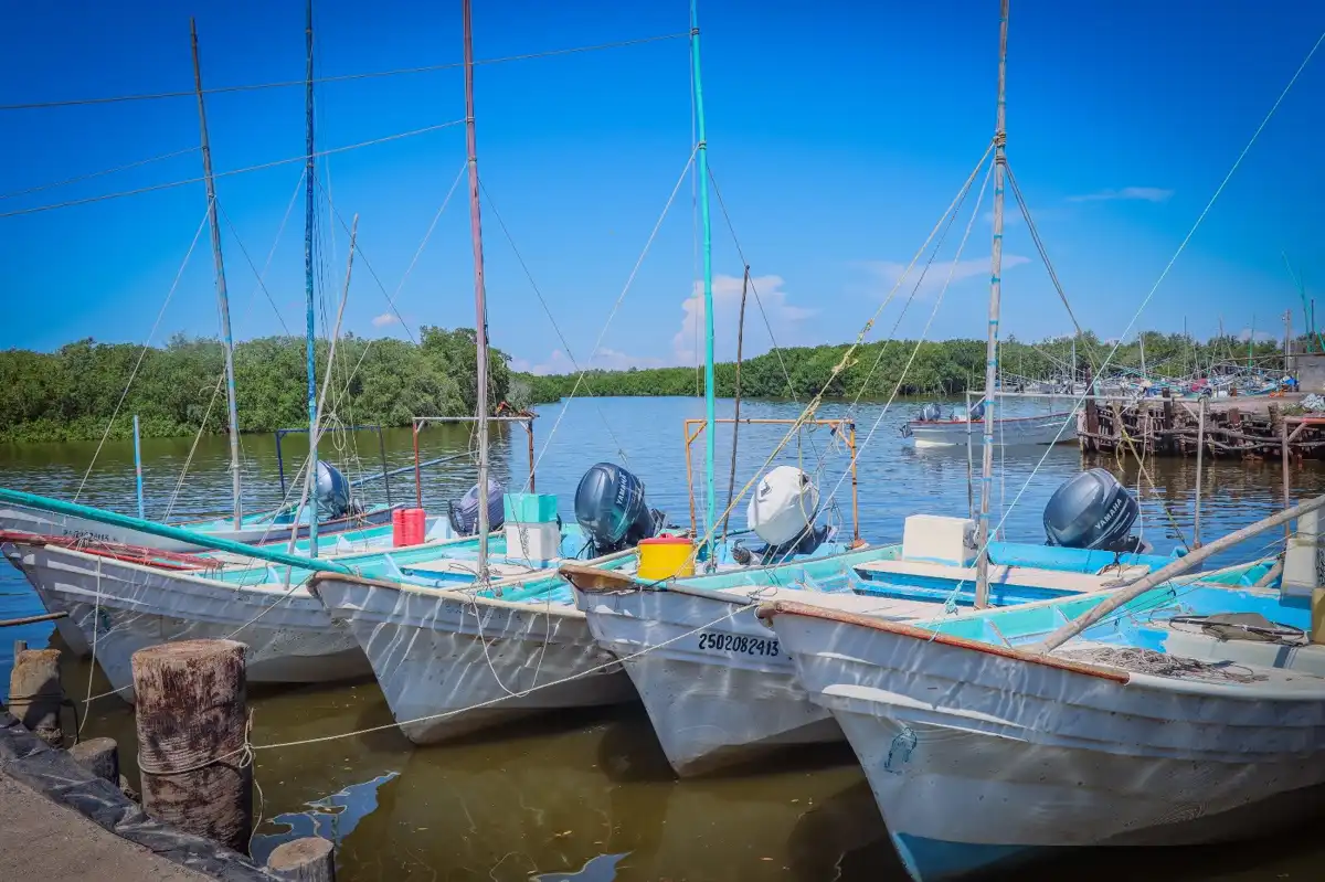 Abren ventanillas en Sinaloa para apoyos a pescadores con inversión de más de 85 millones de pesos en 2026