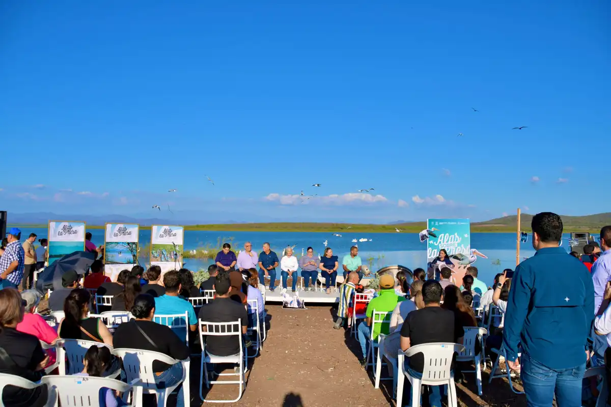 Premian a ganadores del concurso “Alas sobre la Presa” en Salvador Alvarado