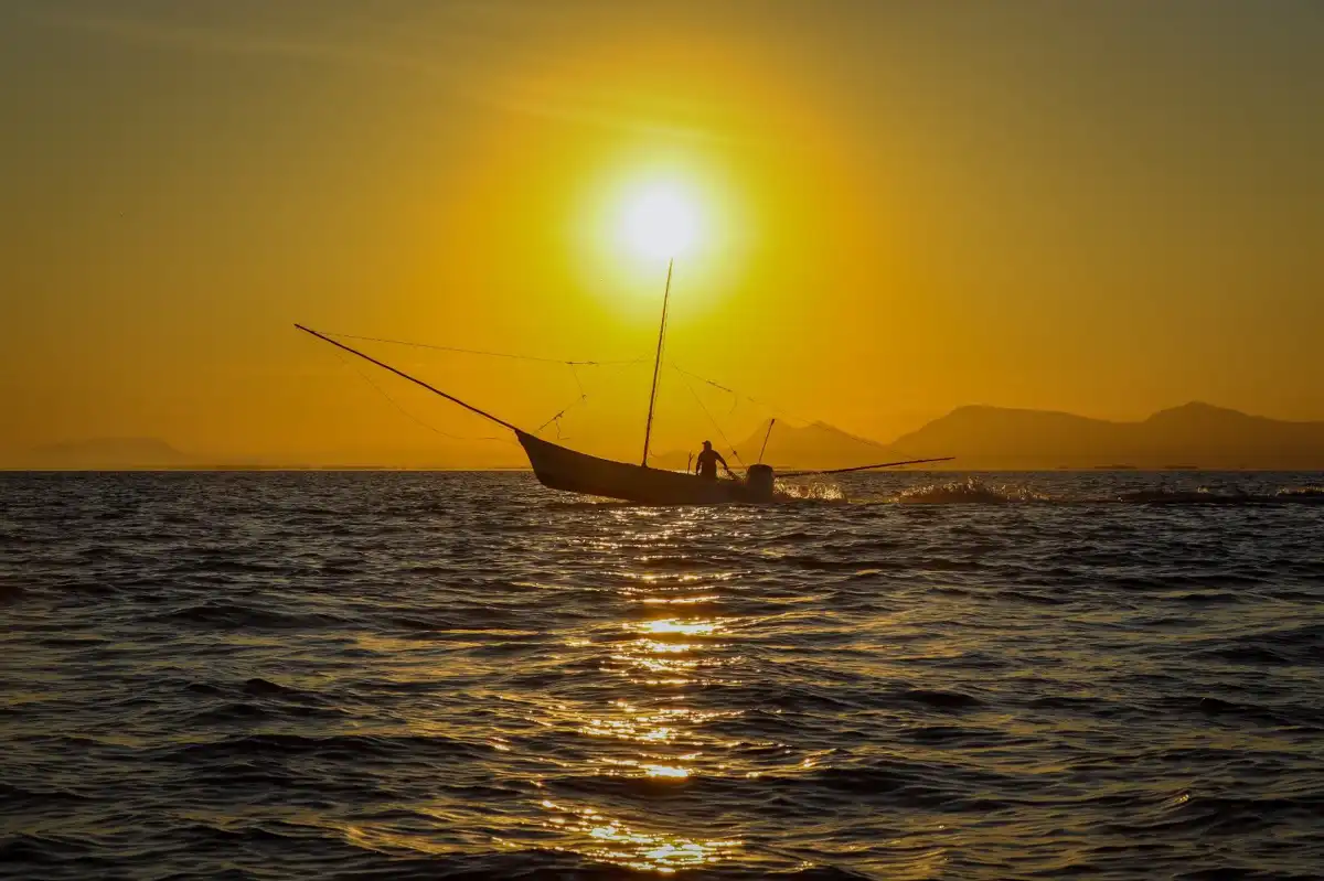 Inicia veda de camarón en Sinaloa este 3 de marzo; invertirán 15 millones en vigilancia