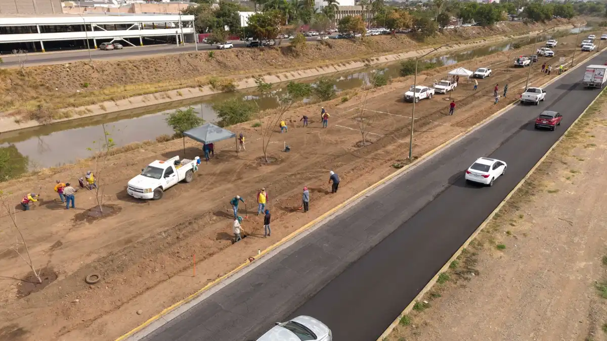 Avanza proyecto de infraestructura verde en el Eje Federalismo de Culiacán con sistema de riego y reforestación