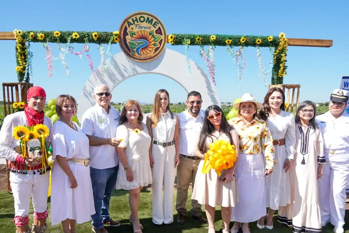 Inauguran “Ahome Florece”, nuevo corredor turístico de girasoles cerca de Los Mochis