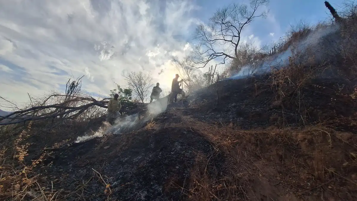 Controlan incendio forestal en las inmediaciones de Los Naranjos, Badiraguato