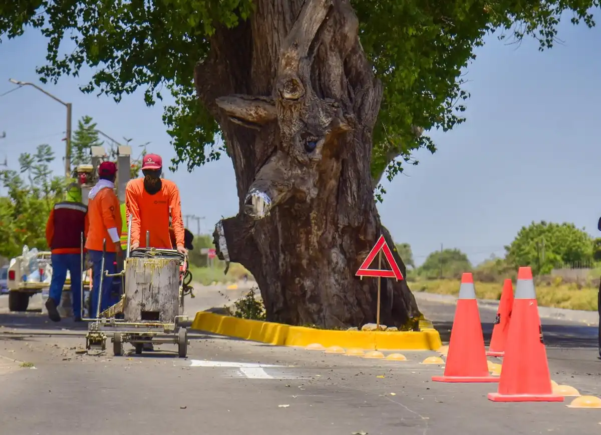 Analizan puntos críticos de tránsito en Los Mochis para prevenir accidentes