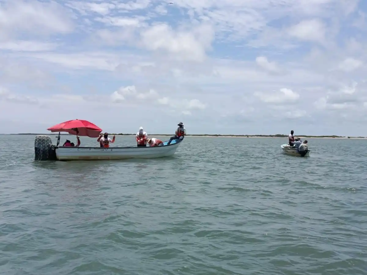 Torneo de Pesca Cospita Culiacán Fish 2026 impulsa turismo y economía en comunidades pesqueras