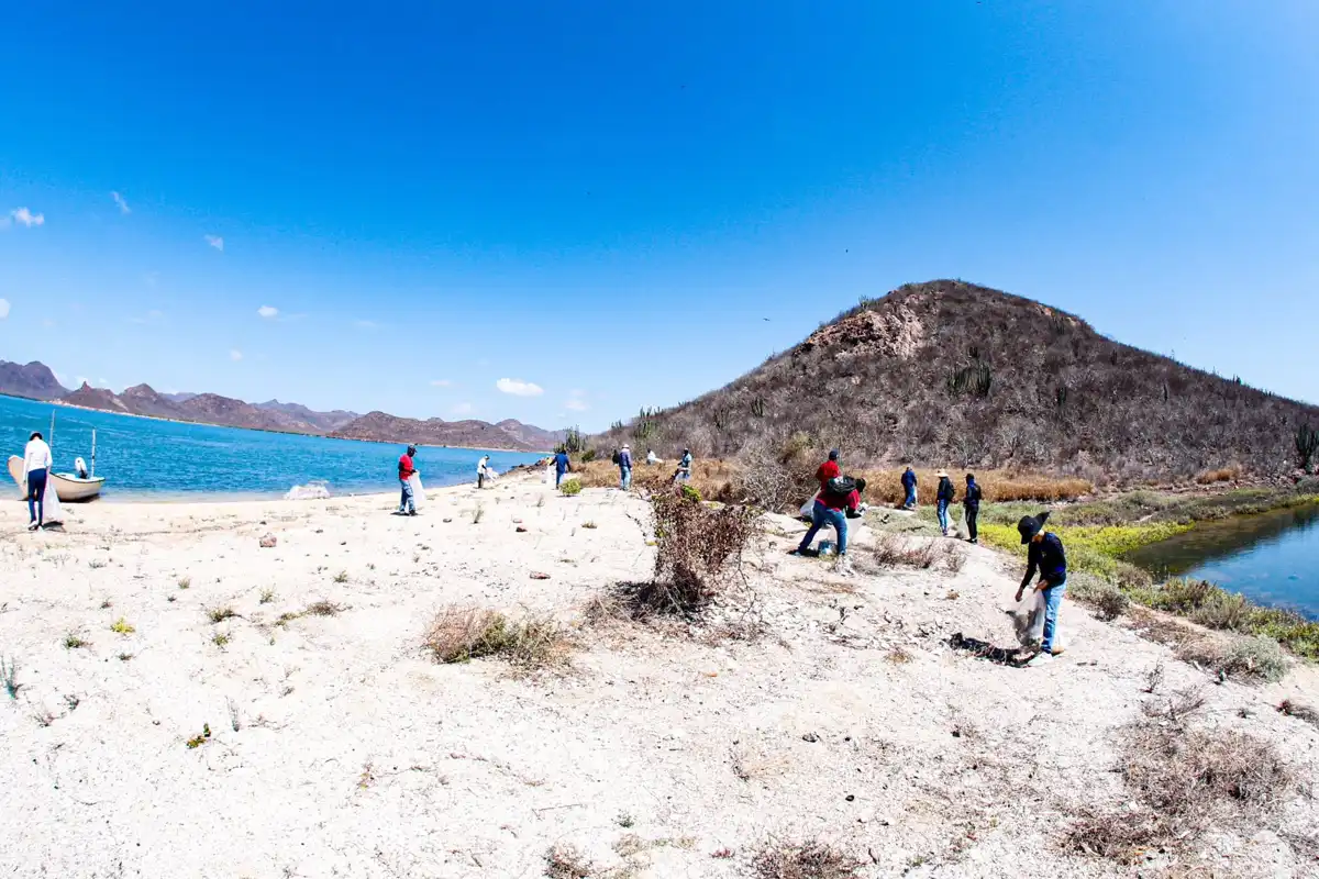Realizan jornada de limpieza en la Isla de las Chivas para proteger la biodiversidad de Sinaloa