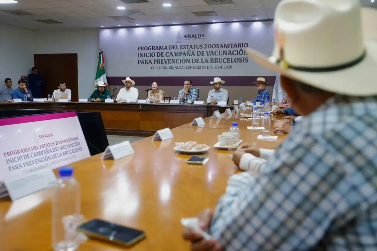 Arranca en Sinaloa campaña de vacunación contra la brucelosis bovina para fortalecer la ganadería