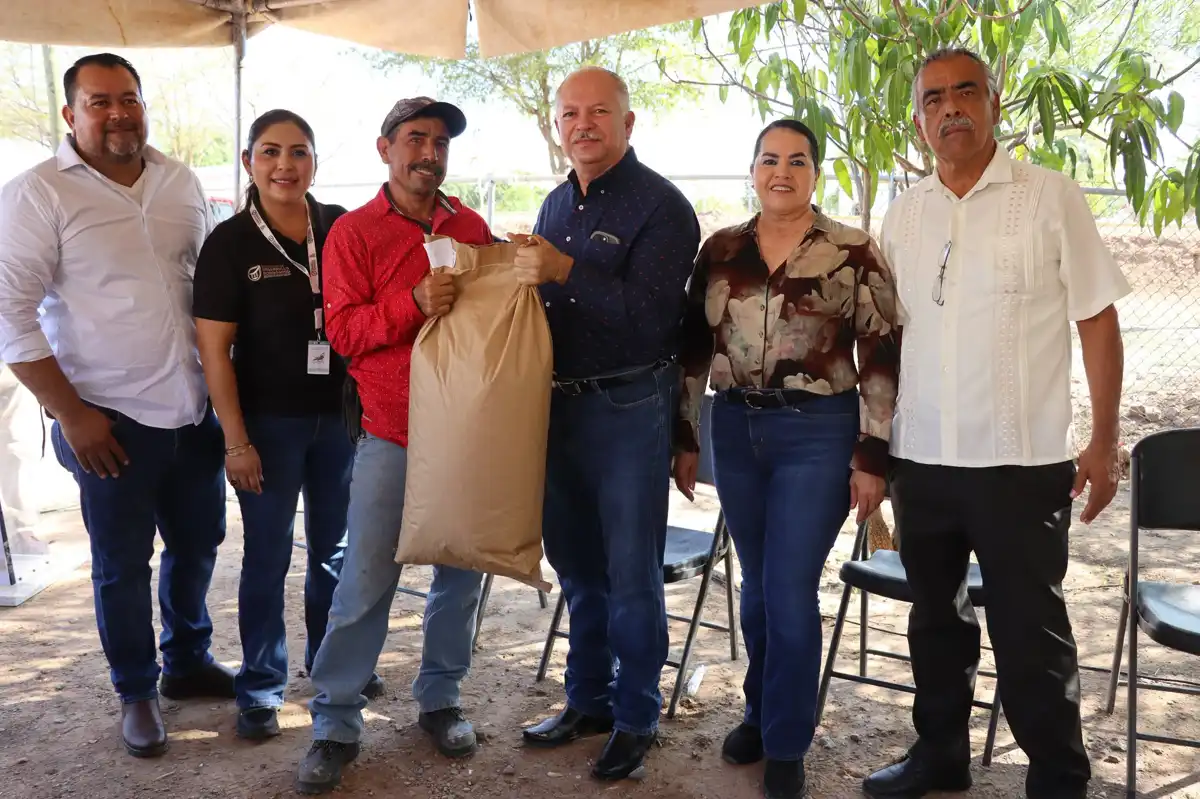 Entregan más de 16 toneladas de semilla a productores temporaleros de Sinaloa municipio