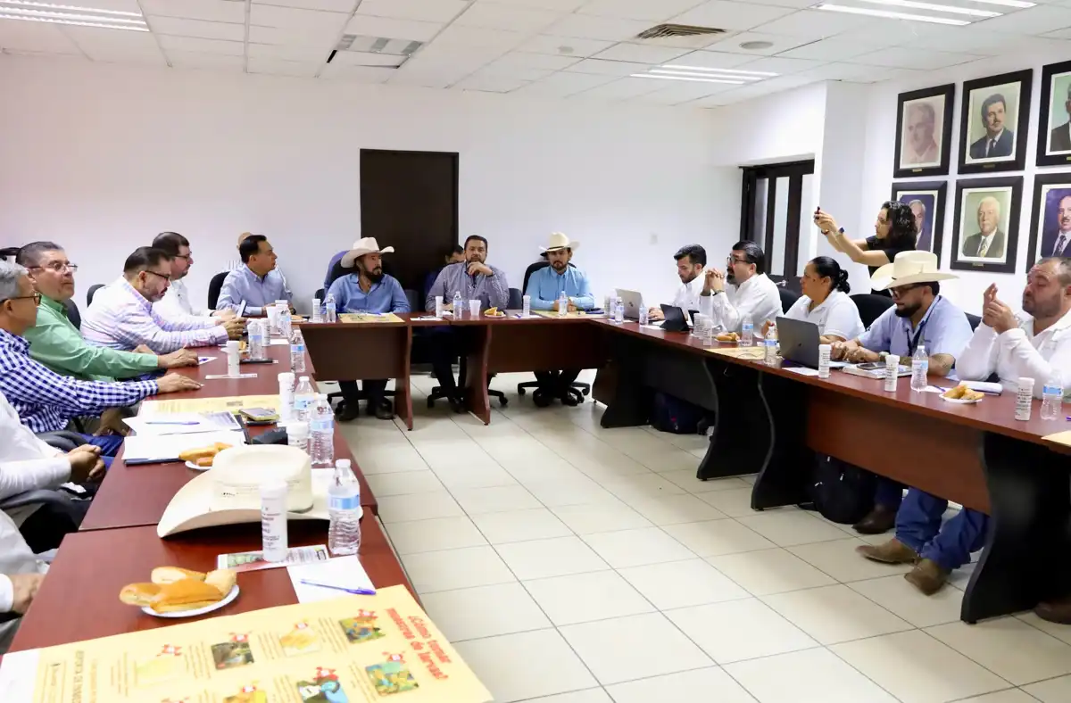 Confirman primer caso de gusano barrenador del ganado en Sinaloa; garantizan estabilidad en el precio del ganado