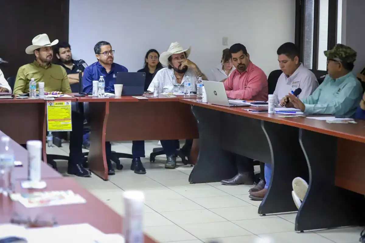 Refuerzan vigilancia contra el gusano barrenador en Sinaloa