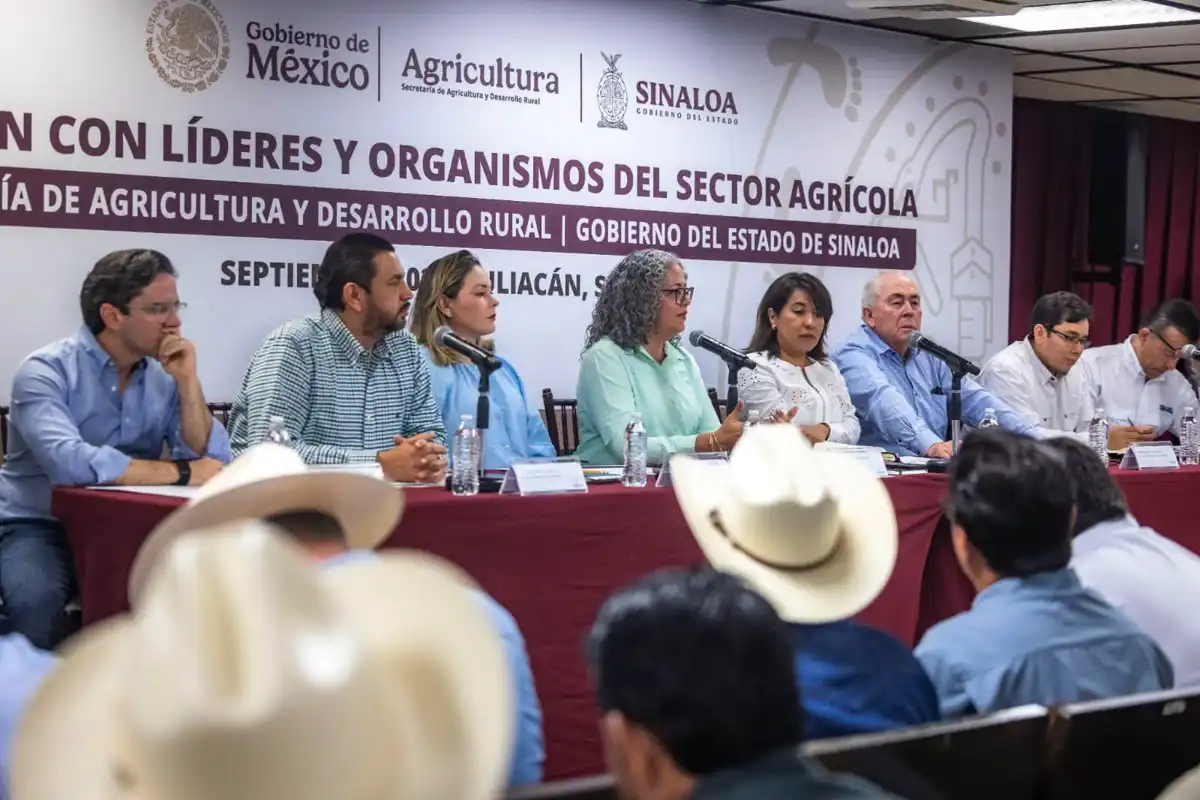 SADER y productores de Sinaloa analizan medidas para comercializar el maíz