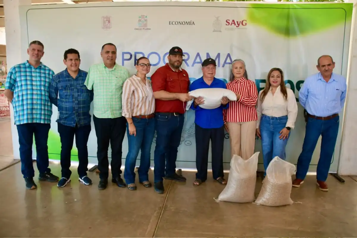 Apoyan con más de 60 toneladas de semillas a productores de Salvador Alvarado