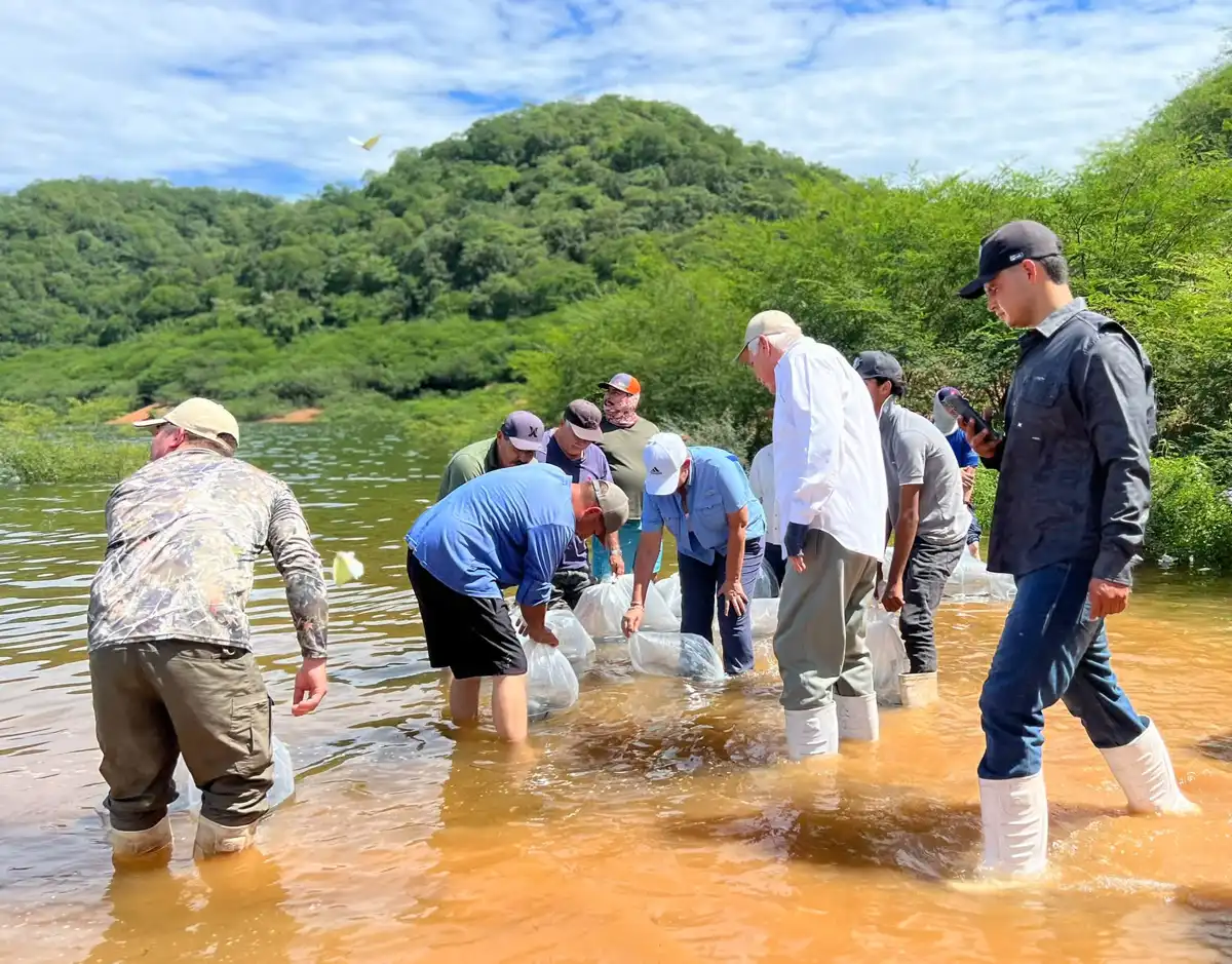 Bienpesca beneficia a 200 pescadores de cuatro cooperativas en Cosalá