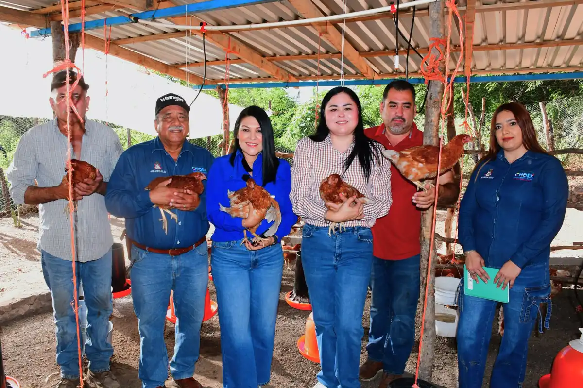 Familias de Choix recibirán apoyo para producir huevo