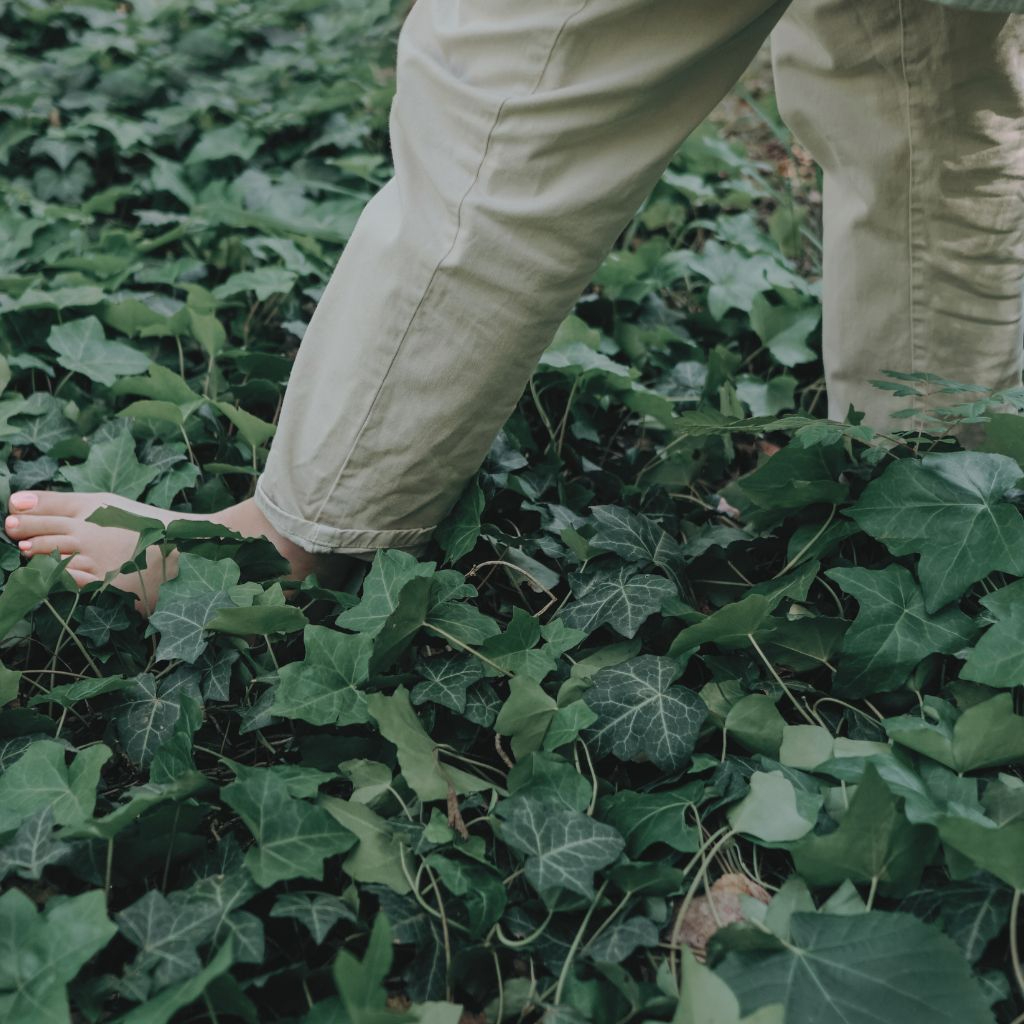 Achtsame Gehmeditaton