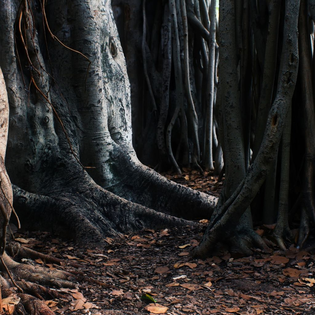 Wachstum und Widerstandskraft