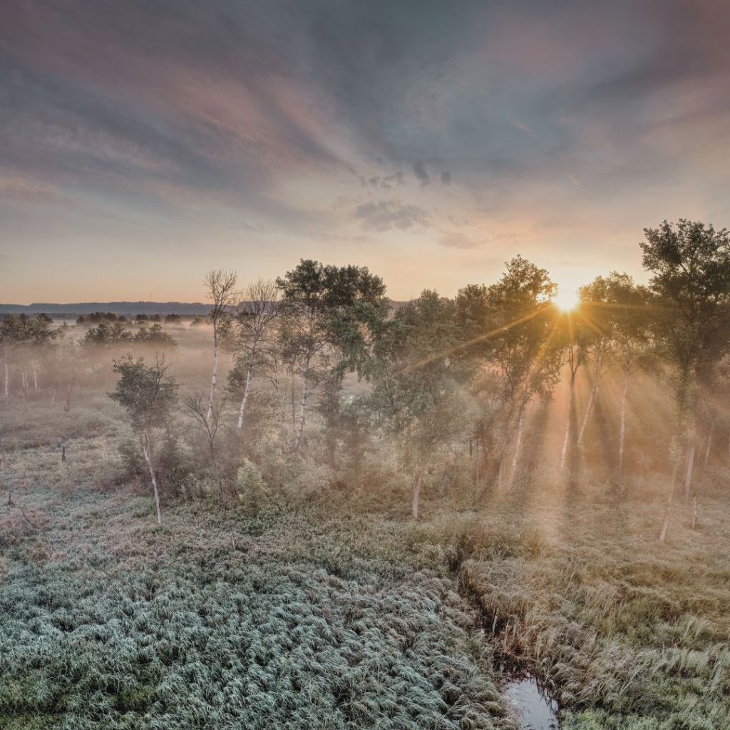 Achtsamkeit am Morgen