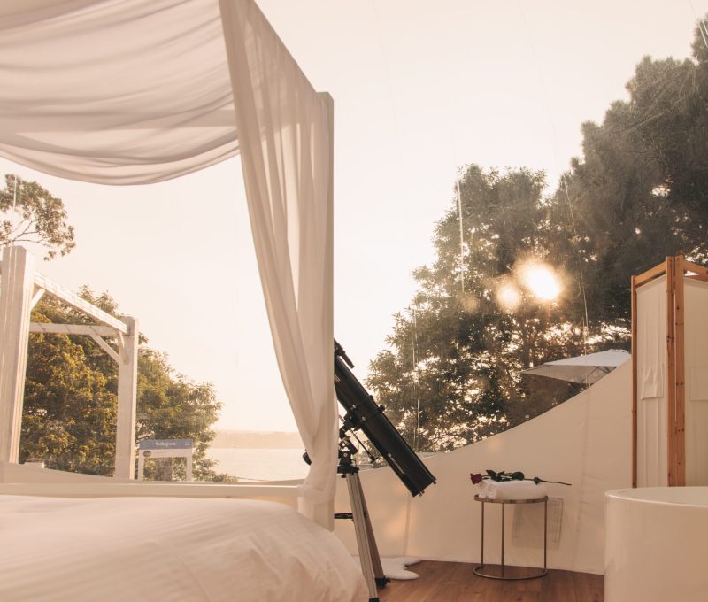 Albarari Campo Stellae