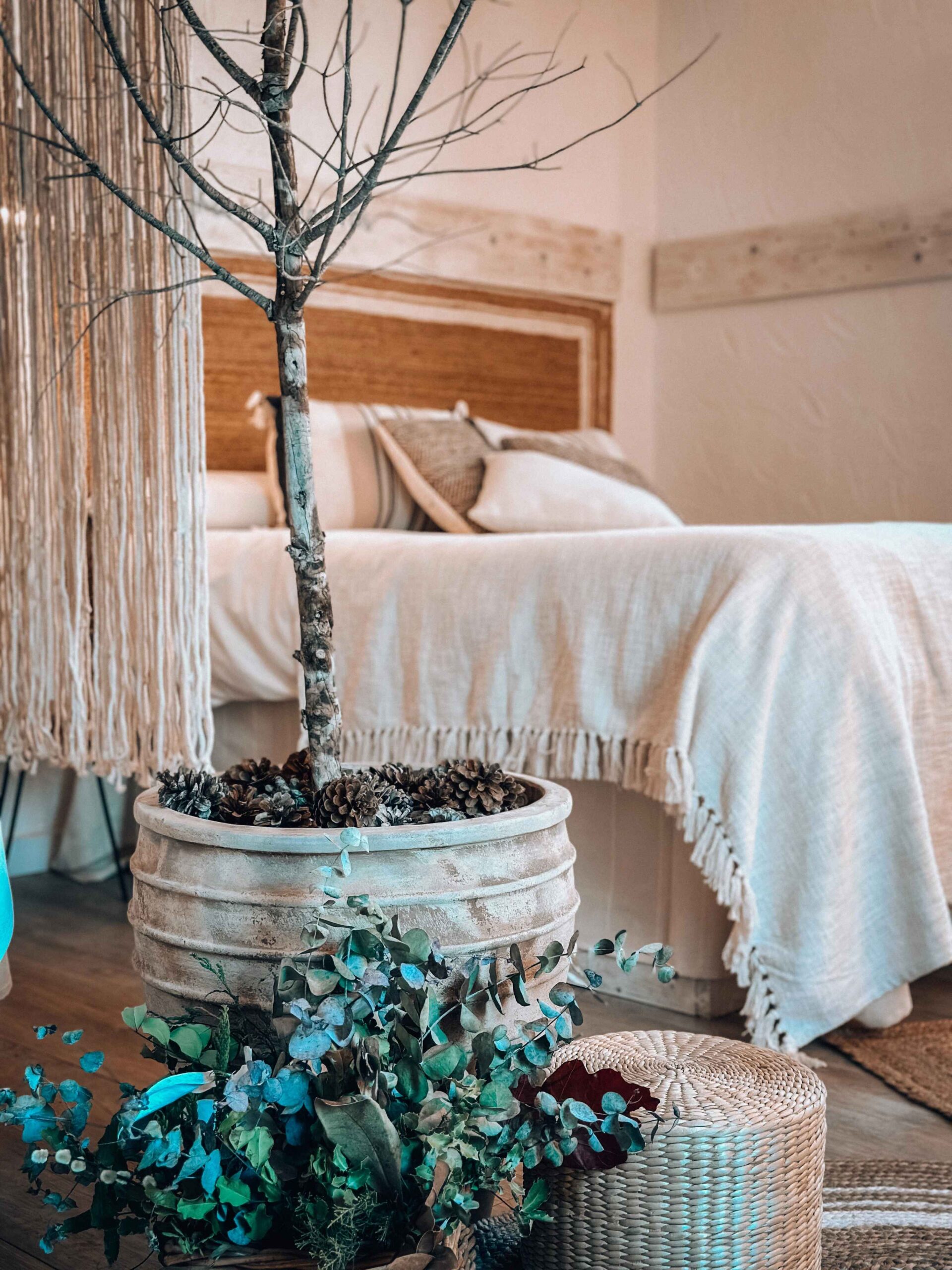 Bubble Suites - Heretat del Castell - imagen 5