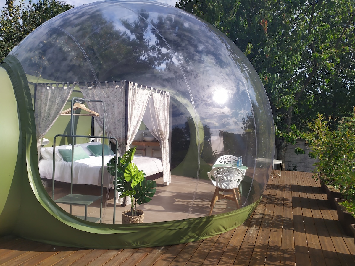 Burbuja Carballo - imagen 3