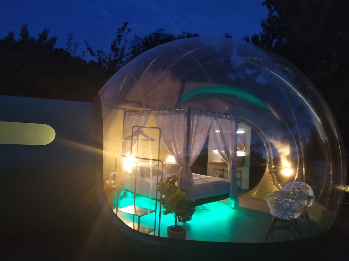 Burbuja Carballo - imagen 4